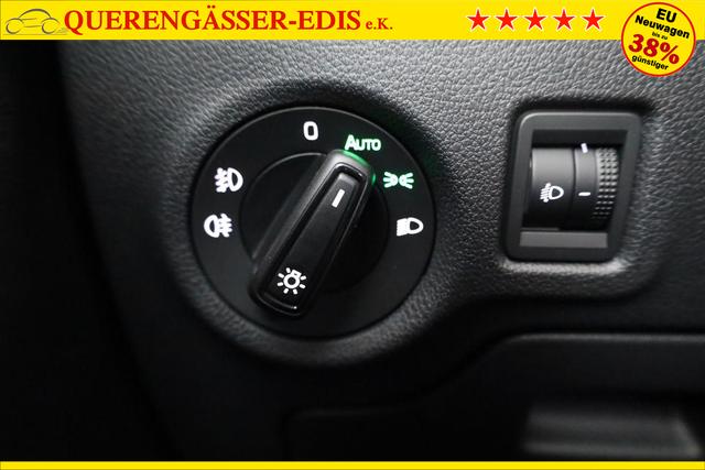 Skoda Fabia Selection 1.0 TSI Selection, Park, Winterpaket, SmartLink, 4-J Garantie 