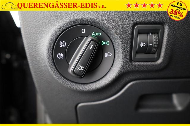 Skoda Fabia Selection 1.0 TSI Selection, Park, Winterpaket, SmartLink, 4-J Garantie 