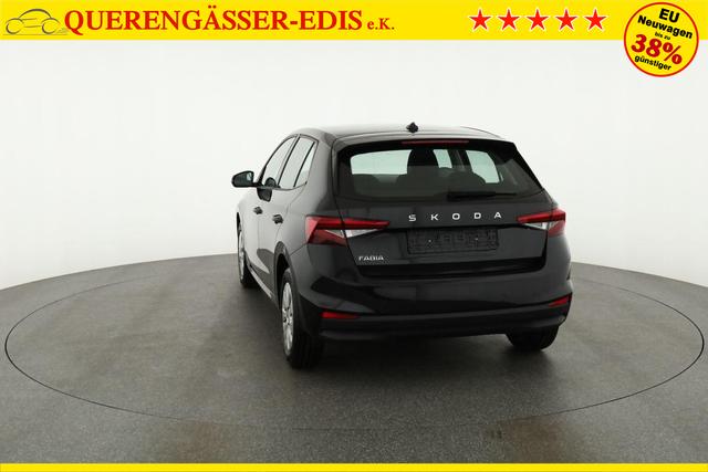 Skoda Fabia Selection 1.0 TSI Selection, Park, Winterpaket, SmartLink, 4-J Garantie 