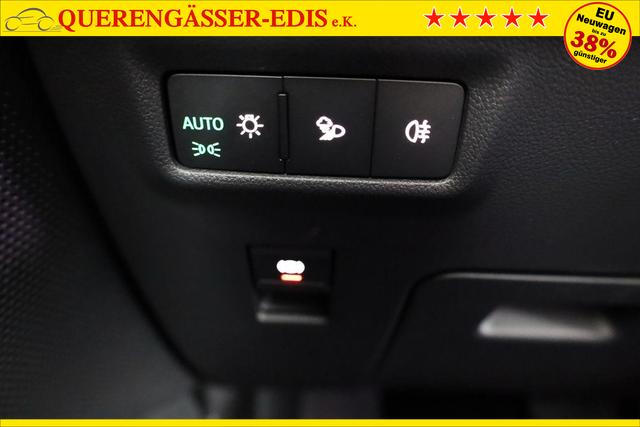 Skoda Kodiaq 2.0 TDI 142kW 4x4 Selection DSG Selection, 7-Sitzer, AHK, Navi, Side, el. Klappe, AreaView, ParkAssist 