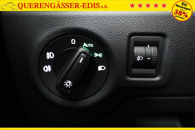 Skoda Fabia Selection 1.0 TSI Selection, Park, Winterpaket, SmartLink, 4-J Garantie 