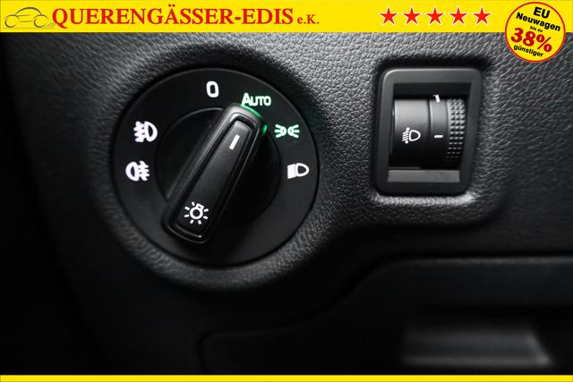 Skoda Fabia Selection 1.0 TSI Selection, Ladeboden, Park, Winterpaket, SmartLink, 4-J Garantie 