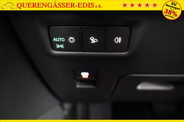 Skoda Kodiaq 2.0 TDI 142kW 4x4 Selection DSG Selection, AHK, Navi, Side, el. Klappe, AreaView, ParkAssist 