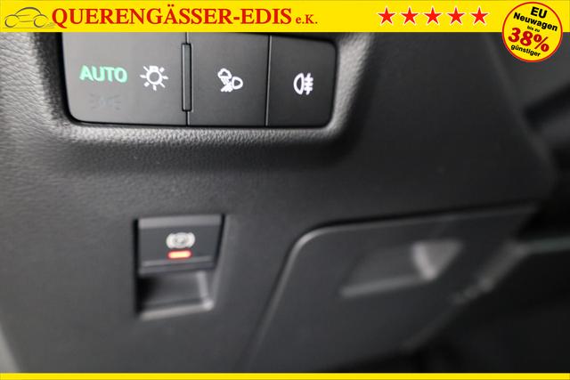 Skoda Kodiaq 2.0 TDI 142 kW 4x4 Selection DSG Selection, 7-Sitzer, AHK, Navi, Side, Kamera, Winter, 19-Zoll 