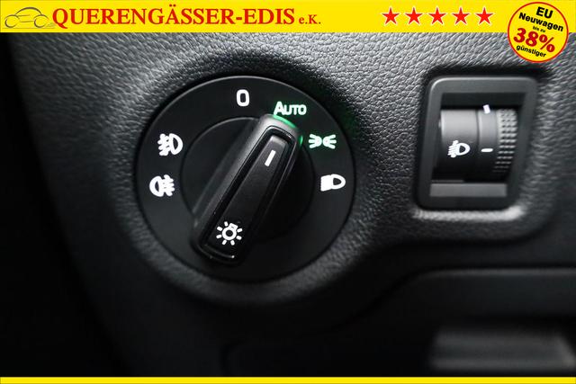 Skoda Fabia Selection 1.0 TSI Selection, Ladeboden, Park, Winterpaket, SmartLink, 4-J Garantie 