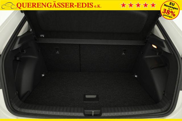 Skoda Fabia Selection 1.0 TSI Selection, Ladeboden, Park, Winterpaket, SmartLink, 4-J Garantie 