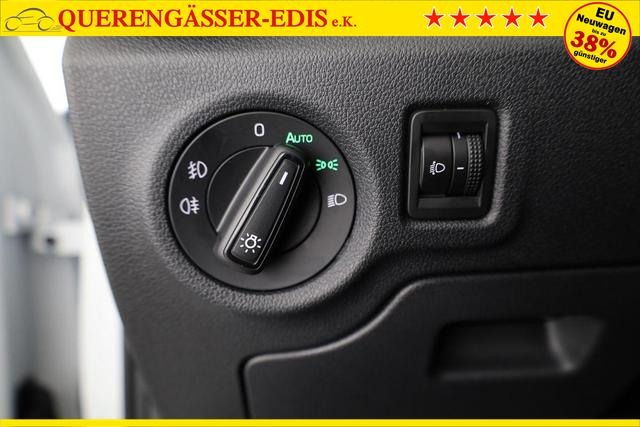 Skoda Fabia Selection 1.0 TSI DSG Selection, 15-Zoll schwarz, Winter, Ladeboden 