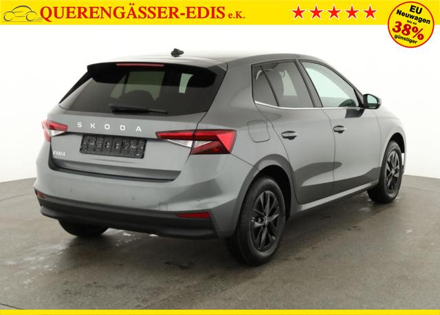 Skoda Fabia Selection 1.0 TSI DSG Selection, 15-Zoll schwarz, Winter, Ladeboden 