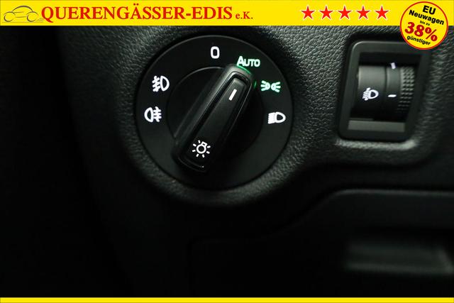 Skoda Fabia Selection 1.0 TSI DSG Selection, 15-Zoll schwarz, Winter, Ladeboden 