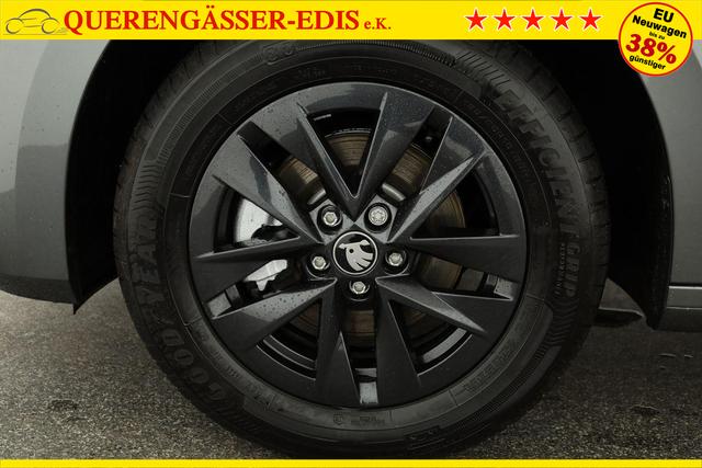 Skoda Fabia Selection 1.0 TSI DSG Selection, 15-Zoll schwarz, Winter, Ladeboden 