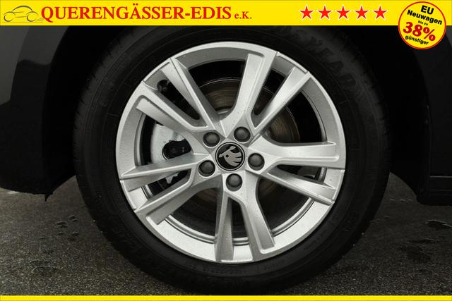 Skoda Fabia Selection 1.0 TSI DSG Selection, LED, Kamera, Side, ACC, Winter, Ladeboden, sofort 