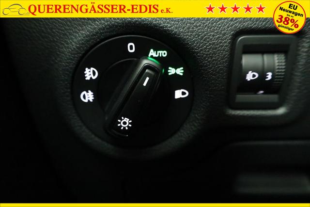 Skoda Fabia Selection 1.0 TSI Selection, LED, Kamera, Winter, App-Connect, Ladeboden, sofort 