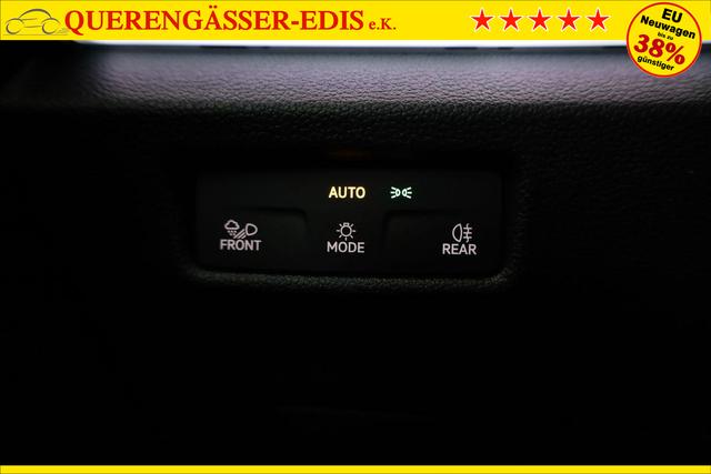 Volkswagen Tiguan 2.0 TDI 142 kW 4Motion R-Line DSG 4M Black, Pano, IQ.Light, AHK, Navi, Side, AreaView, Winter, sofort 