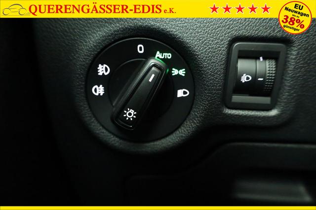 Skoda Fabia Selection 1.0 TSI 130 Jahre, LED, Kamera, Winter, Sunset, 15-Zoll 