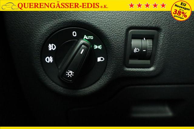 Skoda Fabia Selection 1.0 TSI 130 Jahre, LED, Kamera, Winter, Sunset, 15-Zoll 