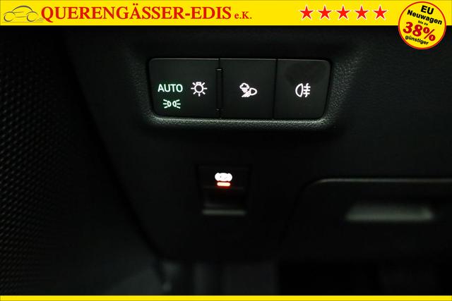 Skoda Kodiaq 2.0 TDI 142 kW 4x4 Selection DSG Selection, 7-Sitzer, AHK, Navi, Side, Kamera, Winter, 19-Zoll 