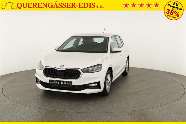 Skoda Fabia Selection 1.0 TSI DSG Selection, Tempomat, Winterpaket, SmartLink 