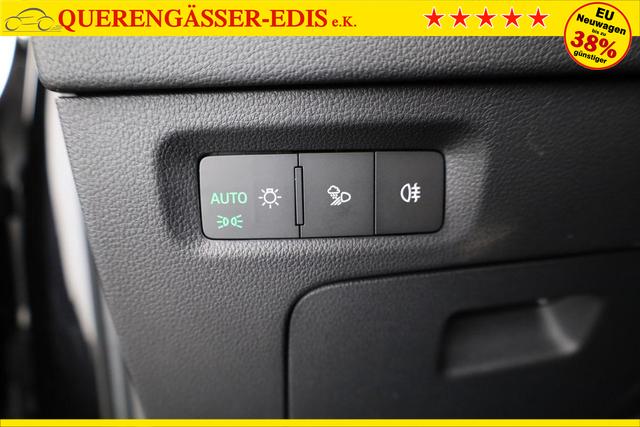 Skoda Octavia Combi 2.0 TSI 195 kW RS DSG, AreaView, Pano, AHK, Navi, Matrix, Side, Winter 