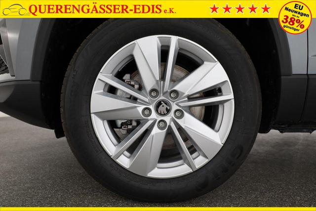 Skoda Karoq Selection 4x4 2.0 TDI DSG Selection, AHK, LED, Kamera, Winter, 4 J.-Garantie 