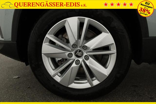 Skoda Karoq Selection 4x4 2.0 TDI DSG Selection, AHK, LED, Kamera, Winter, 4 J.-Garantie 