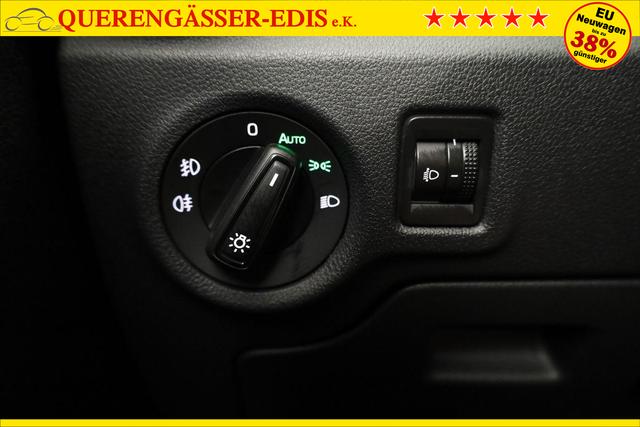 Skoda Fabia Selection 1.0 TSI DSG Selection, LED, Kamera, Side, ACC, Winter, Ladeboden, sofort 