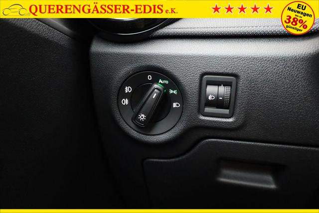 Skoda Fabia Selection 1.0 TSI Selection, Tempomat, Park, Winterpaket, SmartLink, 4 J.-Garantie 