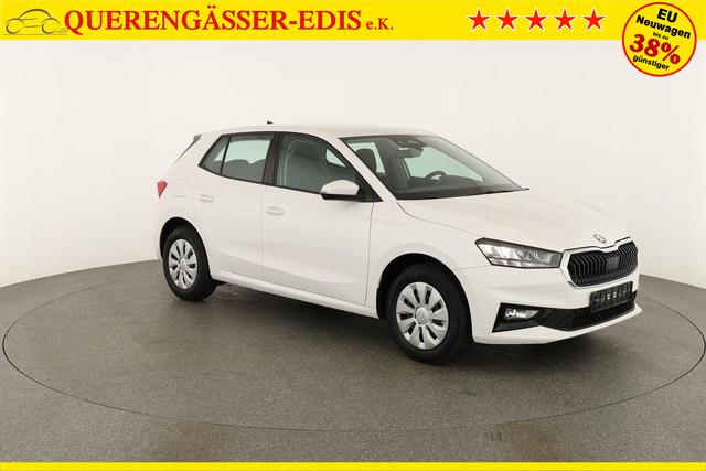 Skoda Fabia Selection 1.0 TSI Selection, Tempomat, Park, Winterpaket, SmartLink, 4 J.-Garantie 