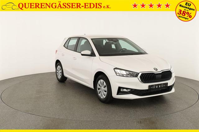Skoda Fabia Selection 1.0 TSI Selection, Tempomat, Park, Winterpaket, SmartLink, 4 J.-Garantie 