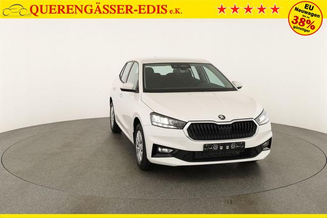 Skoda Fabia Selection 1.0 TSI Selection, Tempomat, Park, Winterpaket, SmartLink, 4 J.-Garantie 