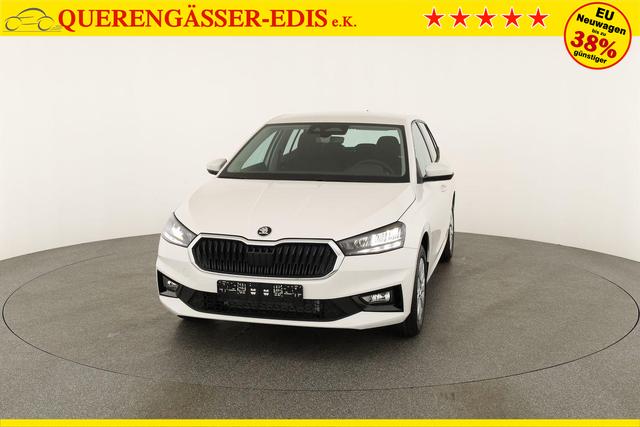 Skoda Fabia Selection 1.0 TSI Selection, Tempomat, Park, Winterpaket, SmartLink, 4 J.-Garantie 