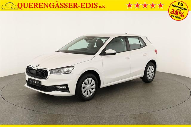Skoda Fabia Selection 1.0 TSI Selection, Tempomat, Park, Winterpaket, SmartLink, 4 J.-Garantie 