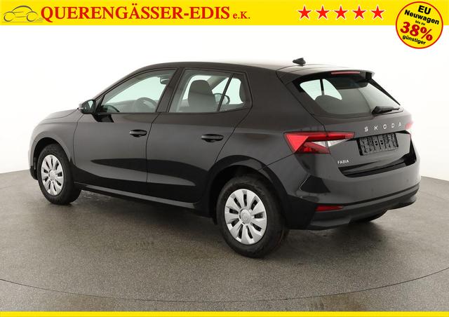 Skoda Fabia Selection 1.0 TSI Selection, Park, Winterpaket, SmartLink, 4 J.-Garantie 