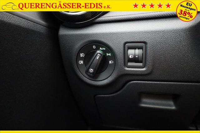 Skoda Fabia Selection 1.0 TSI Selection, Park, Winterpaket, SmartLink, 4 J.-Garantie 