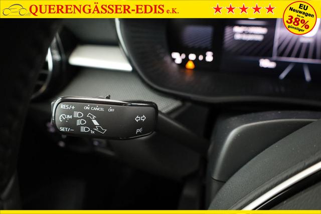 Skoda Fabia Selection 1.0 TSI Selection, Park, Winterpaket, SmartLink, 4 J.-Garantie 