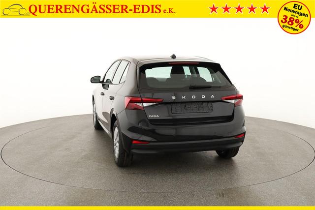 Skoda Fabia Selection 1.0 TSI Selection, Park, Winterpaket, SmartLink, 4 J.-Garantie 