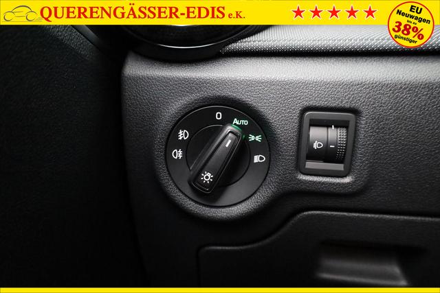 Skoda Fabia Selection 1.0 TSI Selection, Tempomat, Ladeboden, Park, SmartLink, 4-J Garantie 