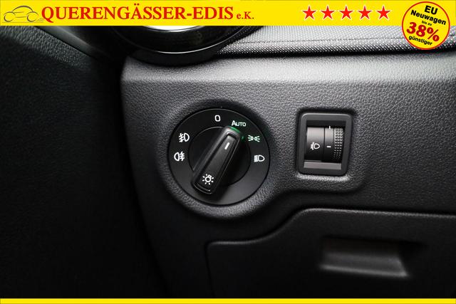 Skoda Fabia Selection 1.0 TSI Selection, Tempomat, Ladeboden, Park, SmartLink, 4-J Garantie 