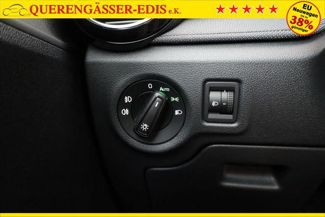 Skoda Fabia Selection 1.0 TSI Selection, AHK, Tempomat, Ladeboden, Park, SmartLink, 4-J Garantie 