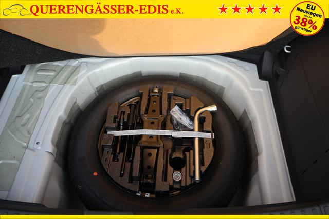 Skoda Fabia 1.0TSI DSG 85kw "Monte Carlo" *Color Concept* 