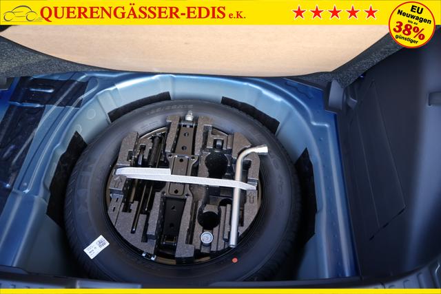 Skoda Fabia 1.0TSI DSG 85kw "Monte Carlo" *Color Concept* 