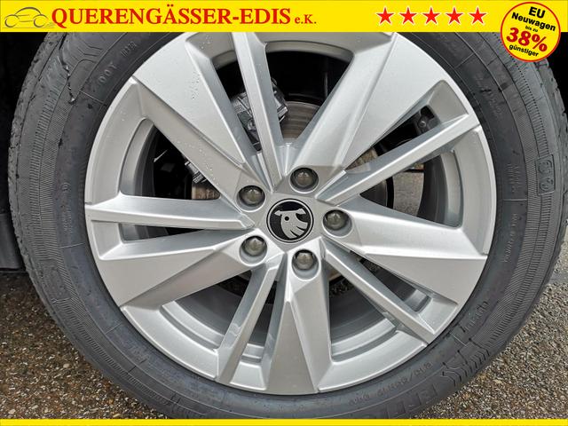 Skoda Karoq Selection 2.0 TDI DSG 4x4 GV5 AHK 17 