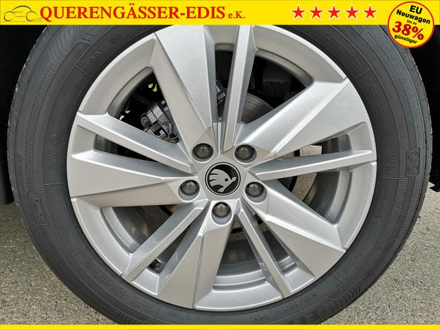 Skoda Karoq Selection 2.0 TDI DSG 4x4 GV5 AHK 17 