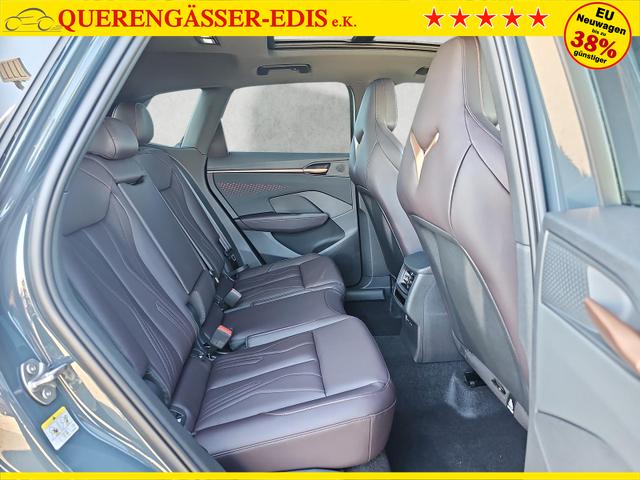 Cupra Terramar 2.0 TSI 195 kW 4Drive VZ DSG AHK Pano Leder 