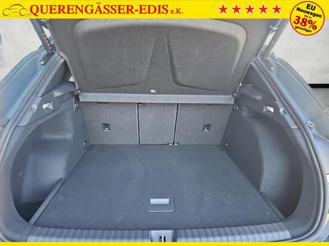 Cupra Terramar 2.0 TSI 195 kW 4Drive VZ DSG AHK Pano Leder 