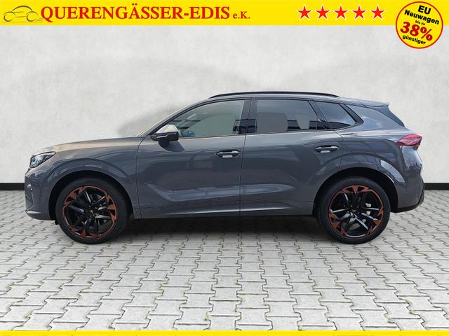 Cupra Terramar 2.0 TSI 195 kW 4Drive VZ DSG Matrix Pano Vortex 
