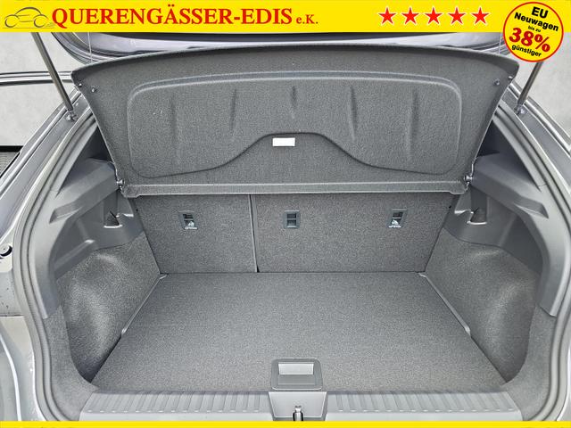 Cupra Raval Plus 37kWh / 2-Zonen Climatronic Kessy 