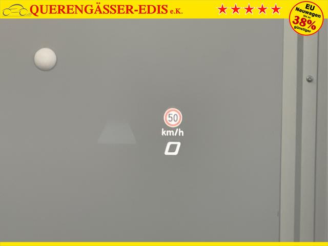Cupra / Terramar / Schwarz / / / 4Drive Pano+AKEBONO+Matrix+AHK+Stdhz+20 Zoll