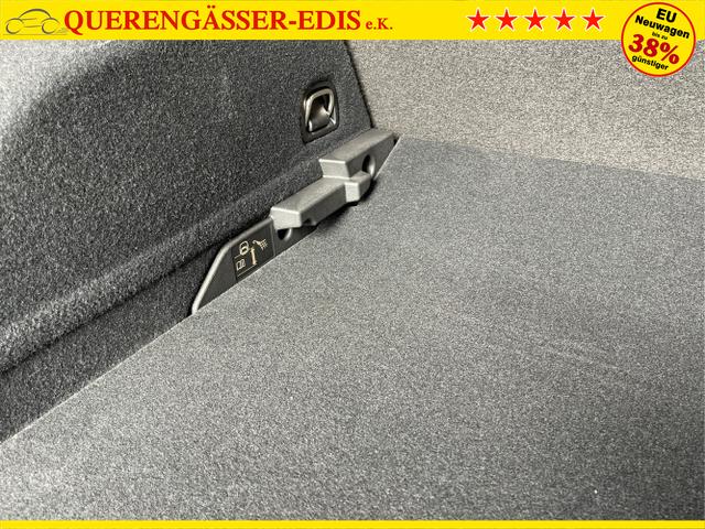 Cupra / Terramar / Schwarz / / / 4Drive Pano+AKEBONO+Matrix+AHK+Stdhz+20 Zoll