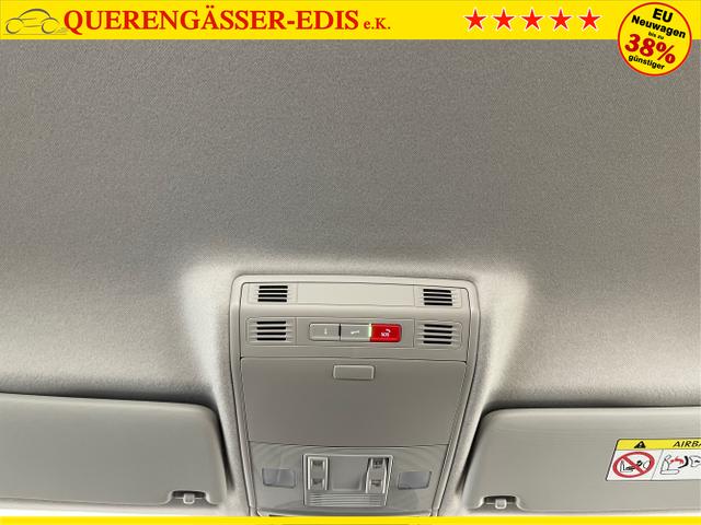 Skoda / Fabia / Blau / / / 115PS Sitzheizung + App Connect