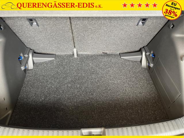 Skoda / Fabia / Blau / / / 115PS Sitzheizung + App Connect